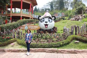 istana panda taman safari bogor